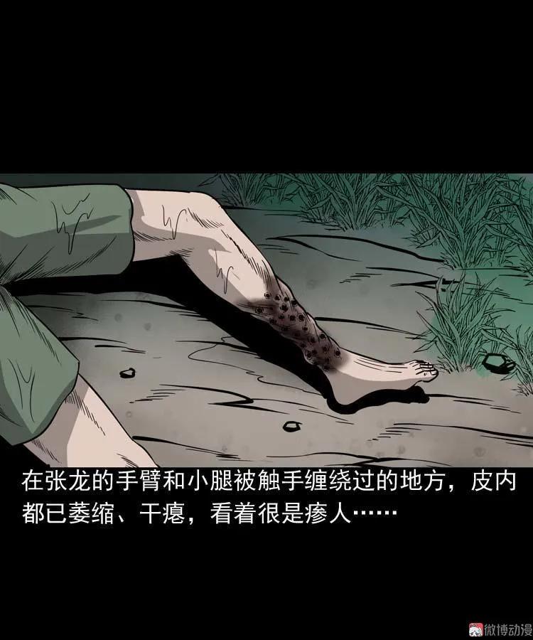 三老爺詭事會 - 吃人的水塘(1/2) - 4