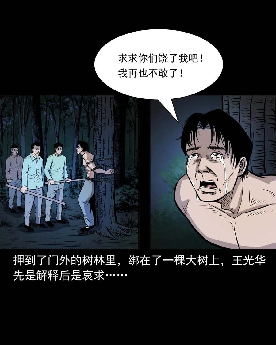 三老爷惊奇手札 - 332 贪心的教训 - 5