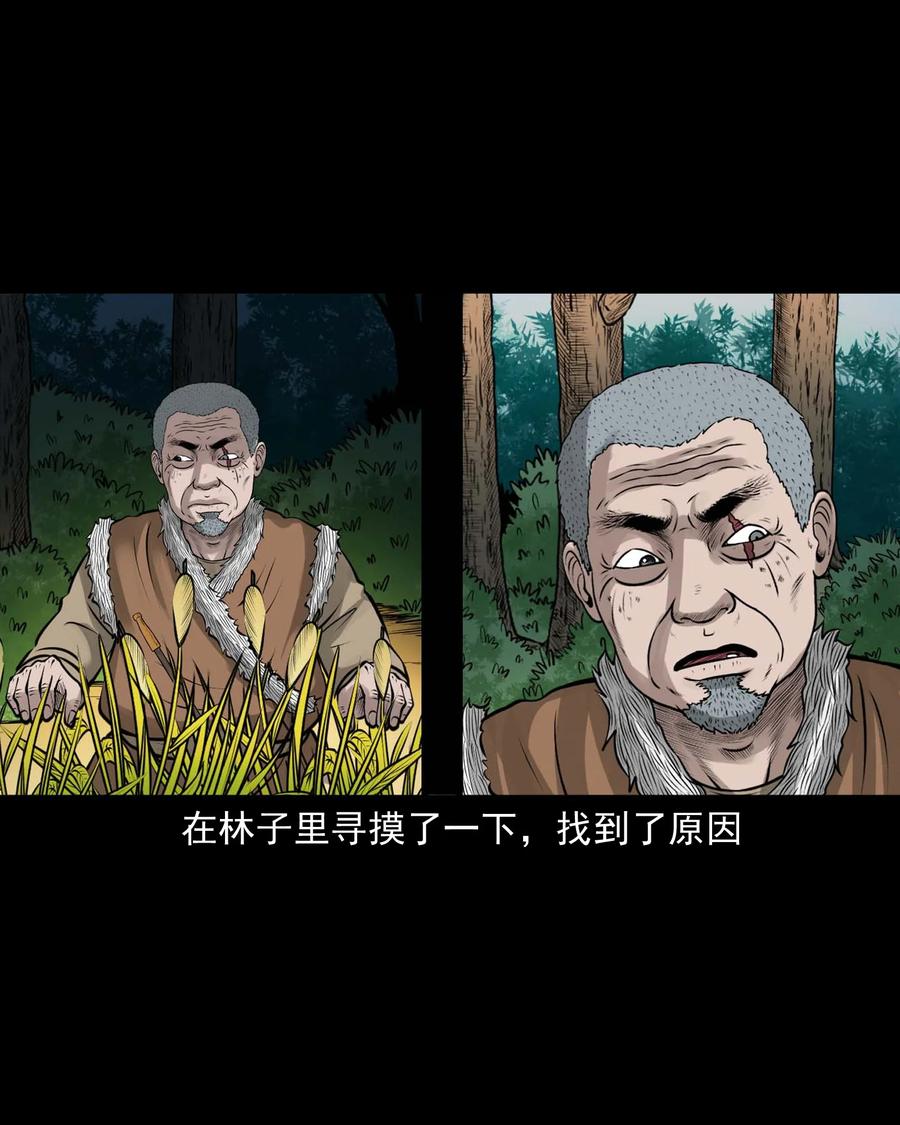 三老爺驚奇手札 - 498 老煙鬼87(1/2) - 7