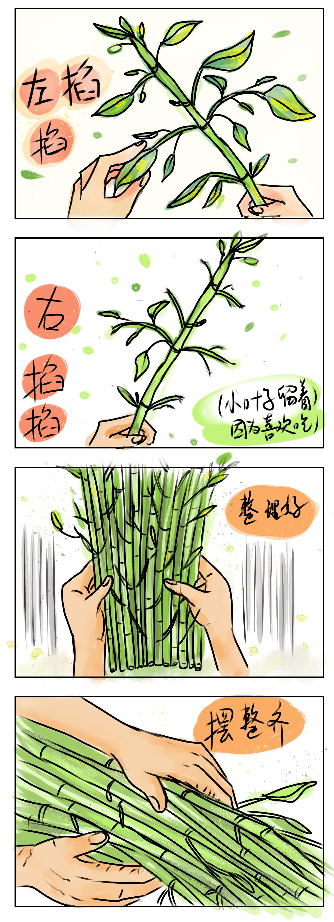 卖菜（一）-第12话