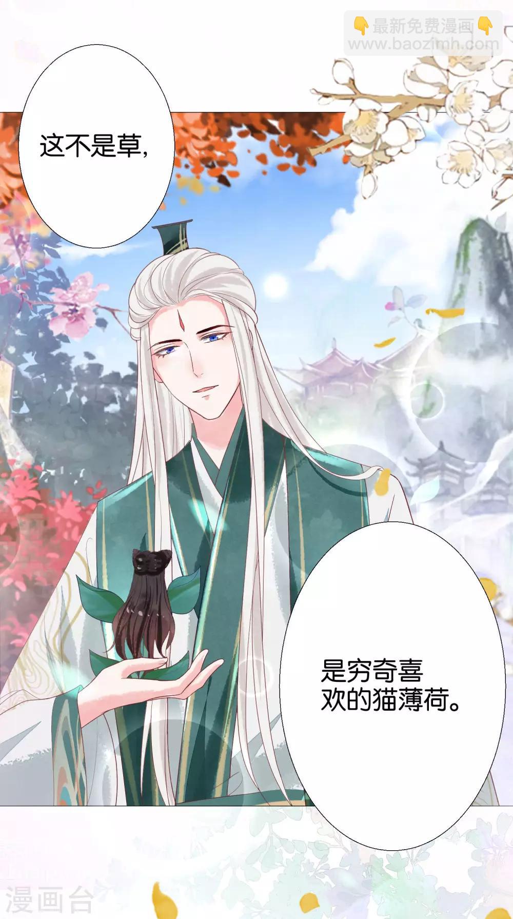 第11话 猫猫心里苦，但是不能说-第12话