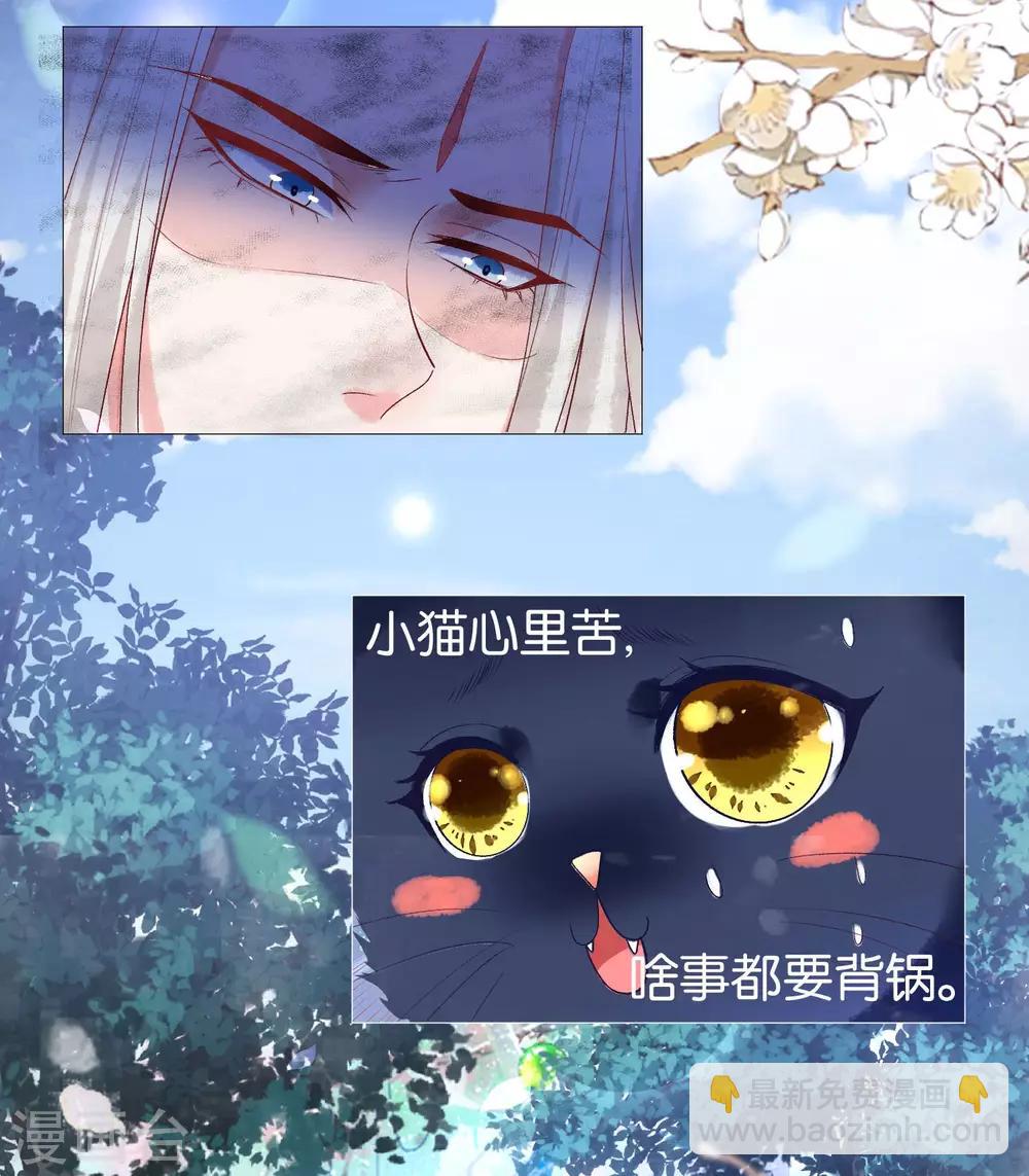 第11话 猫猫心里苦，但是不能说-第12话