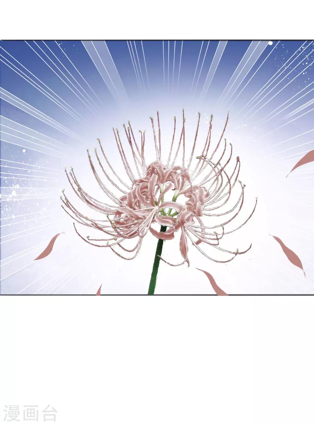 第13话 情敌见面-第14话