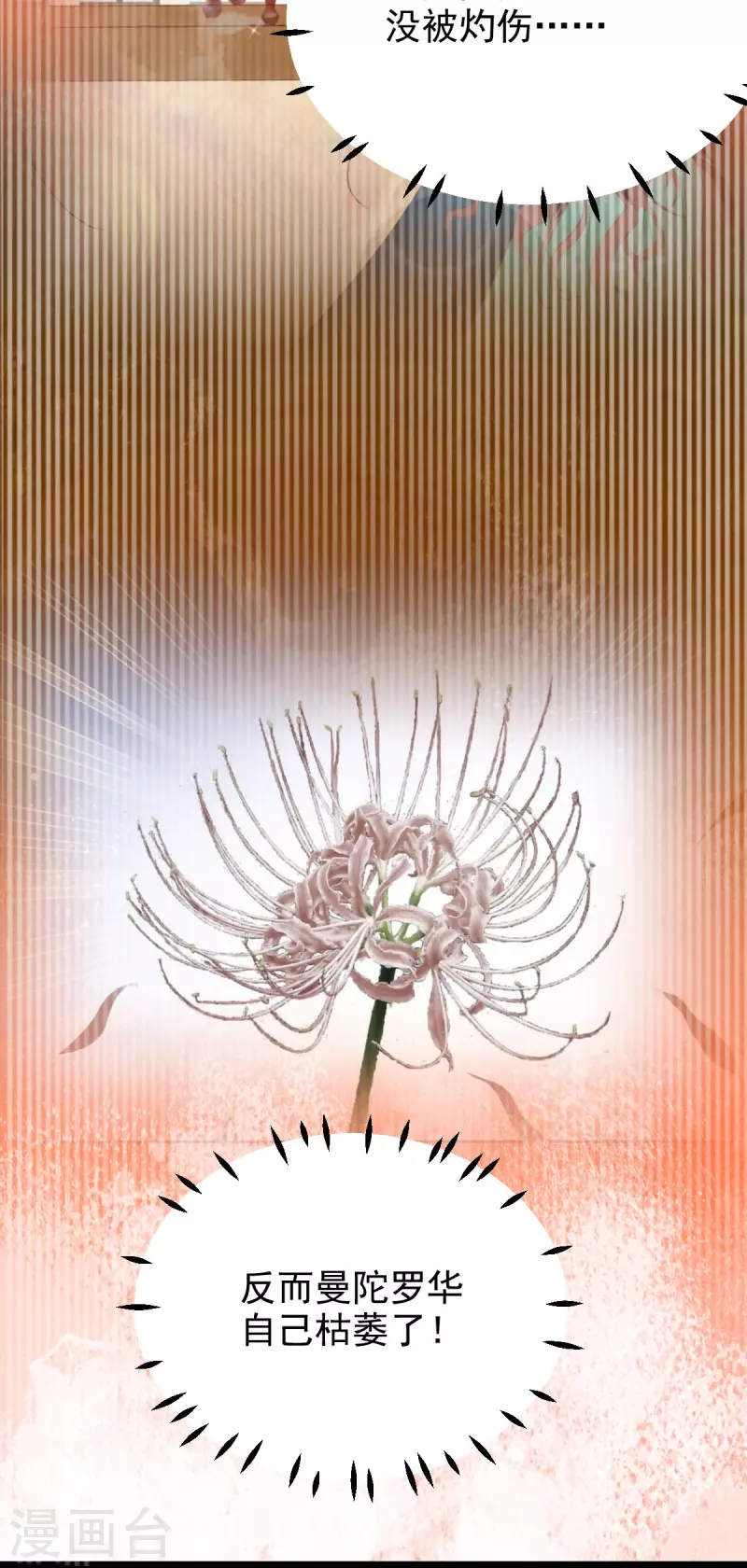 第63话 苏绾绾爆发-第64话