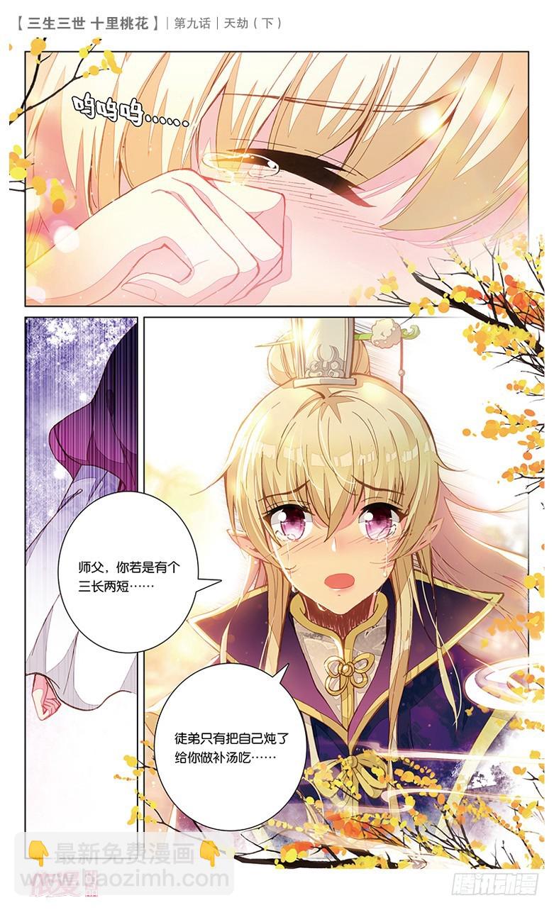 三生三世 十里桃花 - 18 天劫（下） - 3