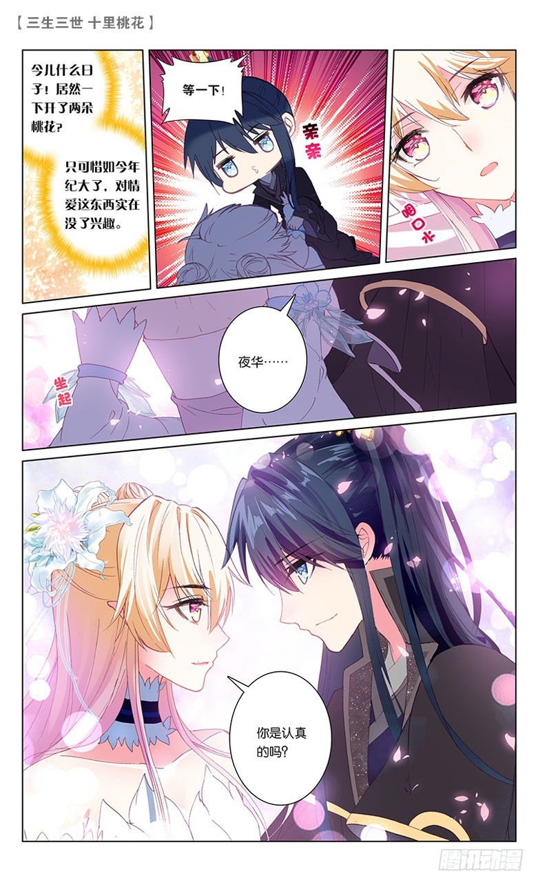 三生三世 十里桃花 - 68 風花雪月（中） - 1