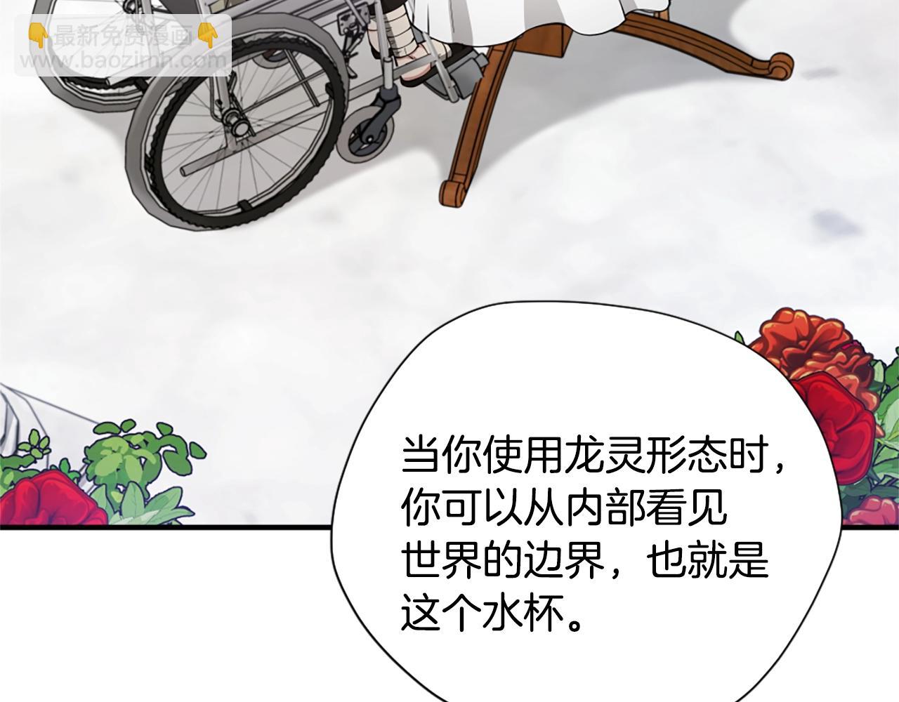 三歲開始做王者 - 第5季第158話 龍靈形態(4/5) - 4