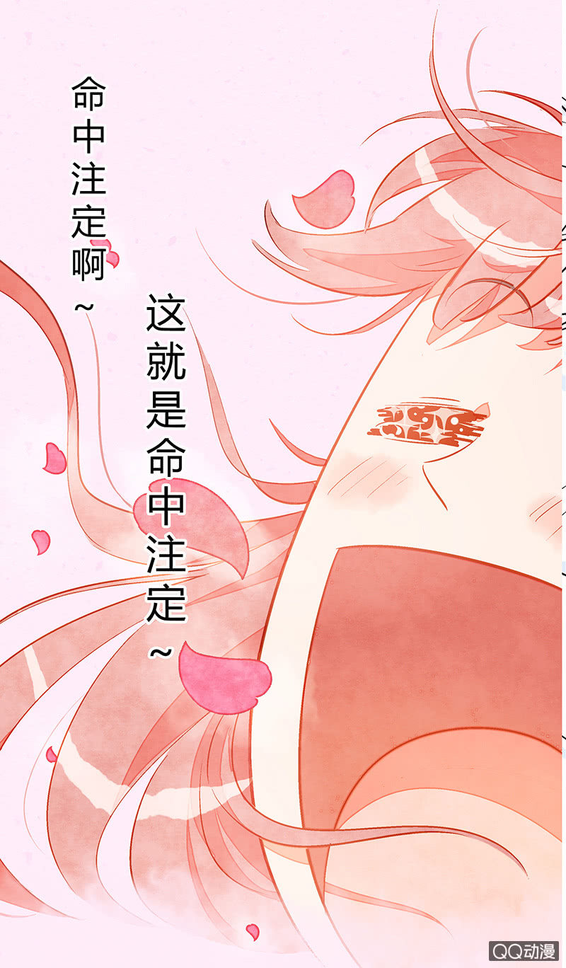 第十四期(1/2)-第14话