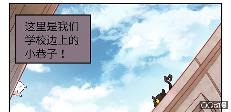 第六十期(1/2)-第62话