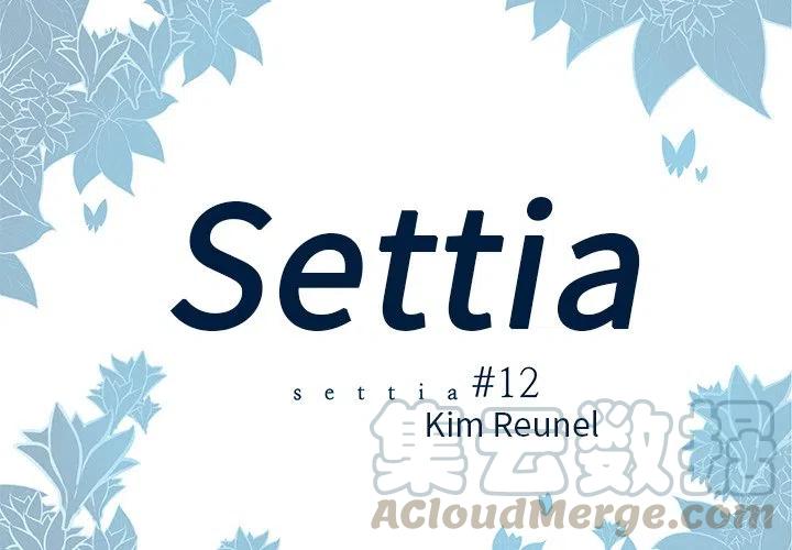 Settia - 12 - 4
