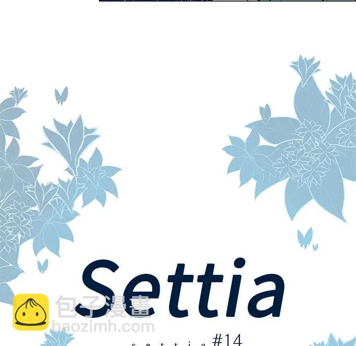 Settia - 14(1/2) - 5