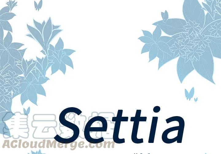 Settia - 6(1/2) - 4