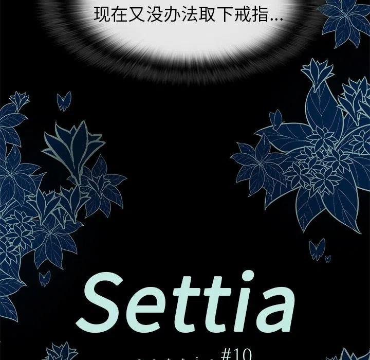 Settia - 10 - 6