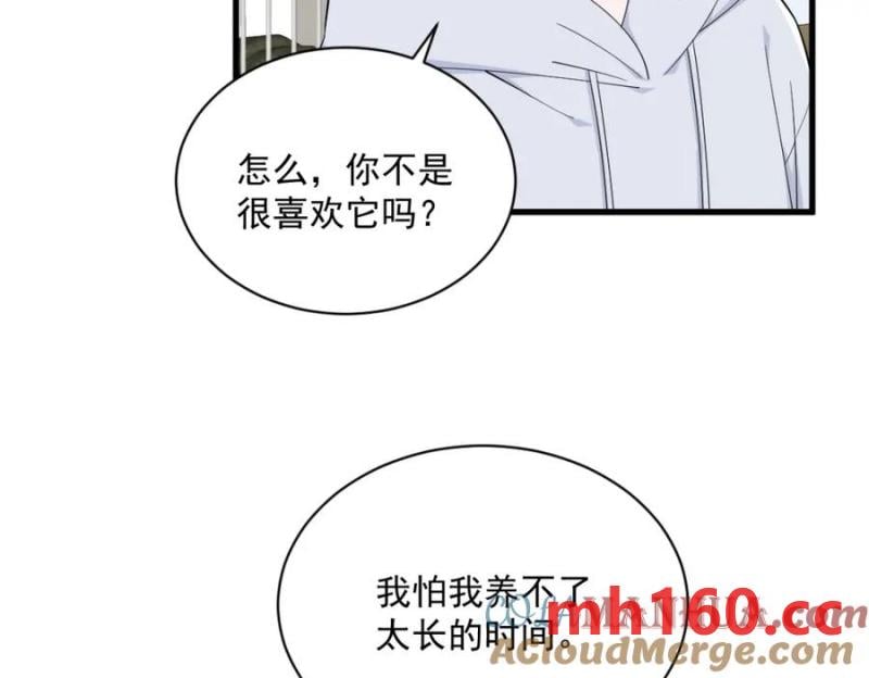 沙雕男神今天又渣了我 - 第184話 暴風雨前的寧靜(1/2) - 5