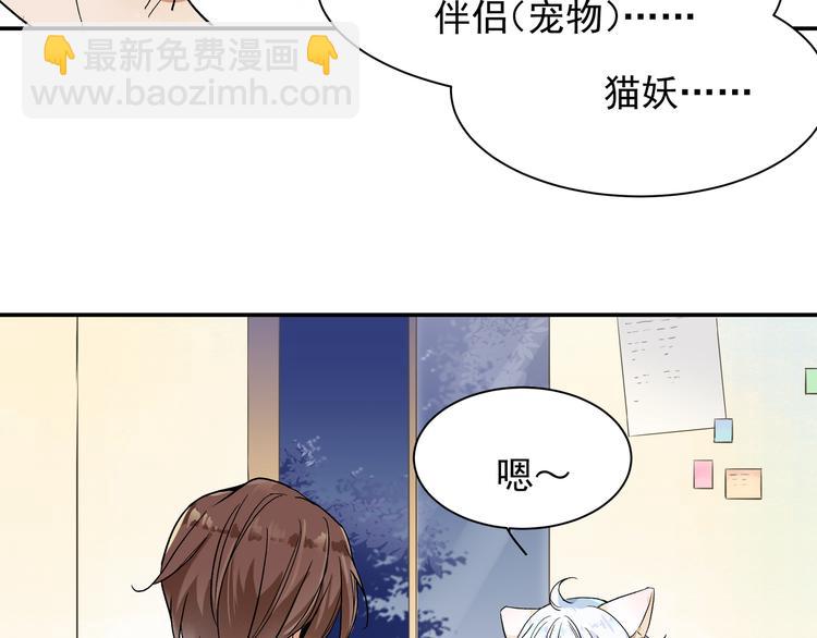 上仙，缺貓否？ - 被貓碰瓷了(1/2) - 8