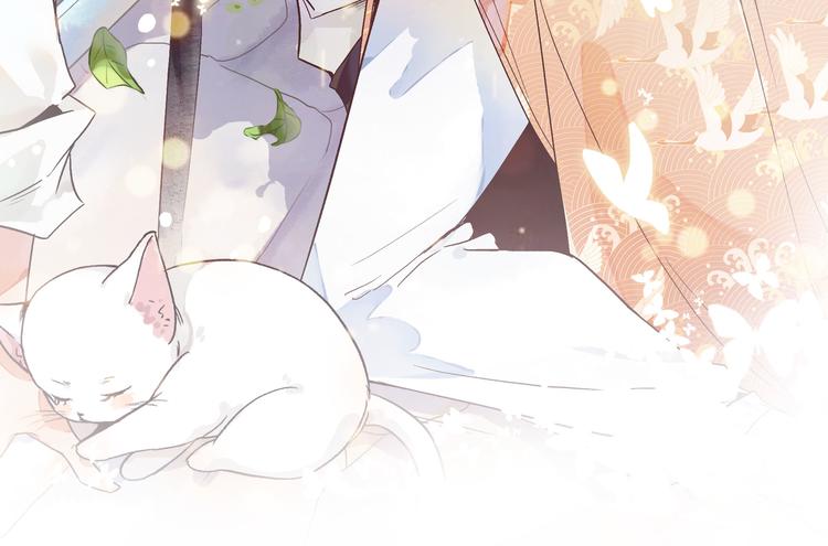 上仙，缺貓否？ - 被貓碰瓷了(1/2) - 3