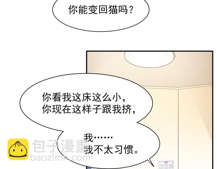 上仙，缺貓否？ - 被貓碰瓷了(2/2) - 2