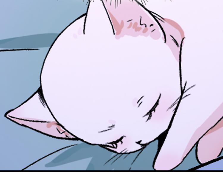 上仙，缺貓否？ - 被貓碰瓷了(2/2) - 1