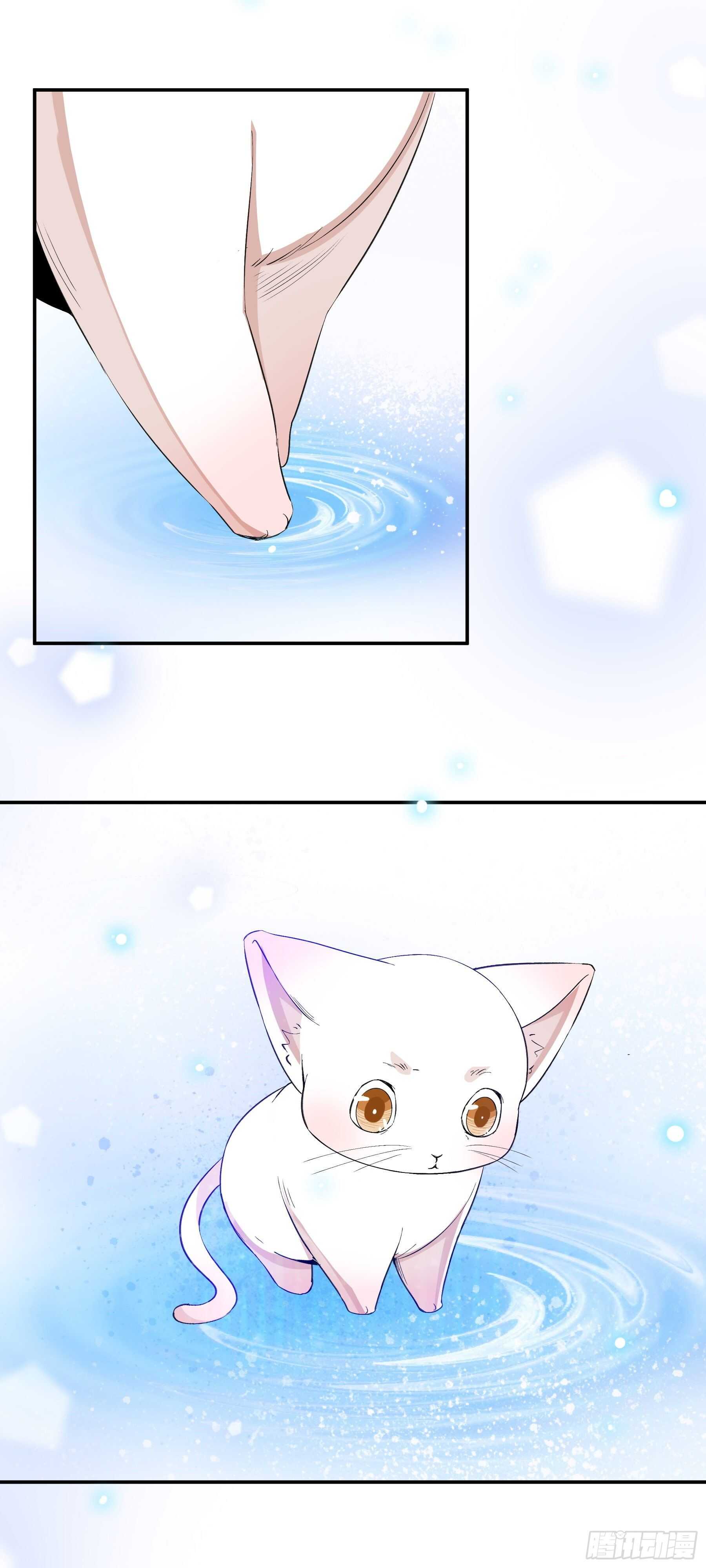 上仙，缺貓否？ - 喜歡我好嗎？ - 4