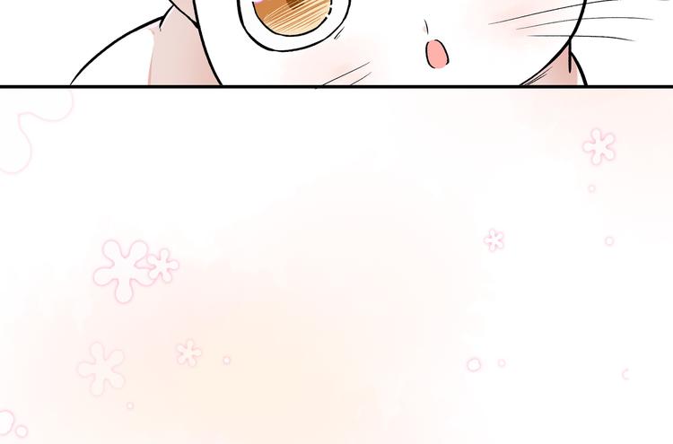 上仙，缺貓否？ - 竟然開單了(1/2) - 5