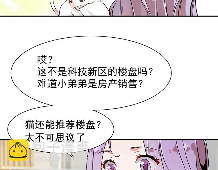 上仙，缺貓否？ - 竟然開單了(1/2) - 2