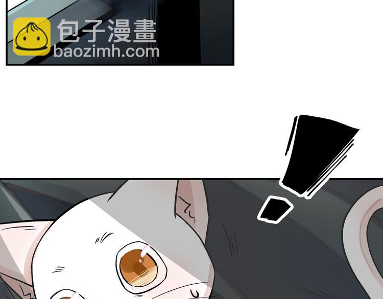 上仙，缺貓否？ - 謀害一隻貓(1/2) - 4