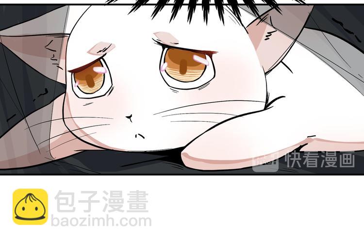 上仙，缺貓否？ - 謀害一隻貓(1/2) - 3