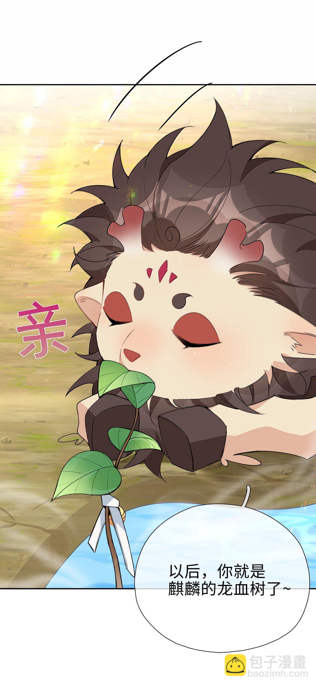 第112话 以后你就是麒麟的龙血树了-第112话