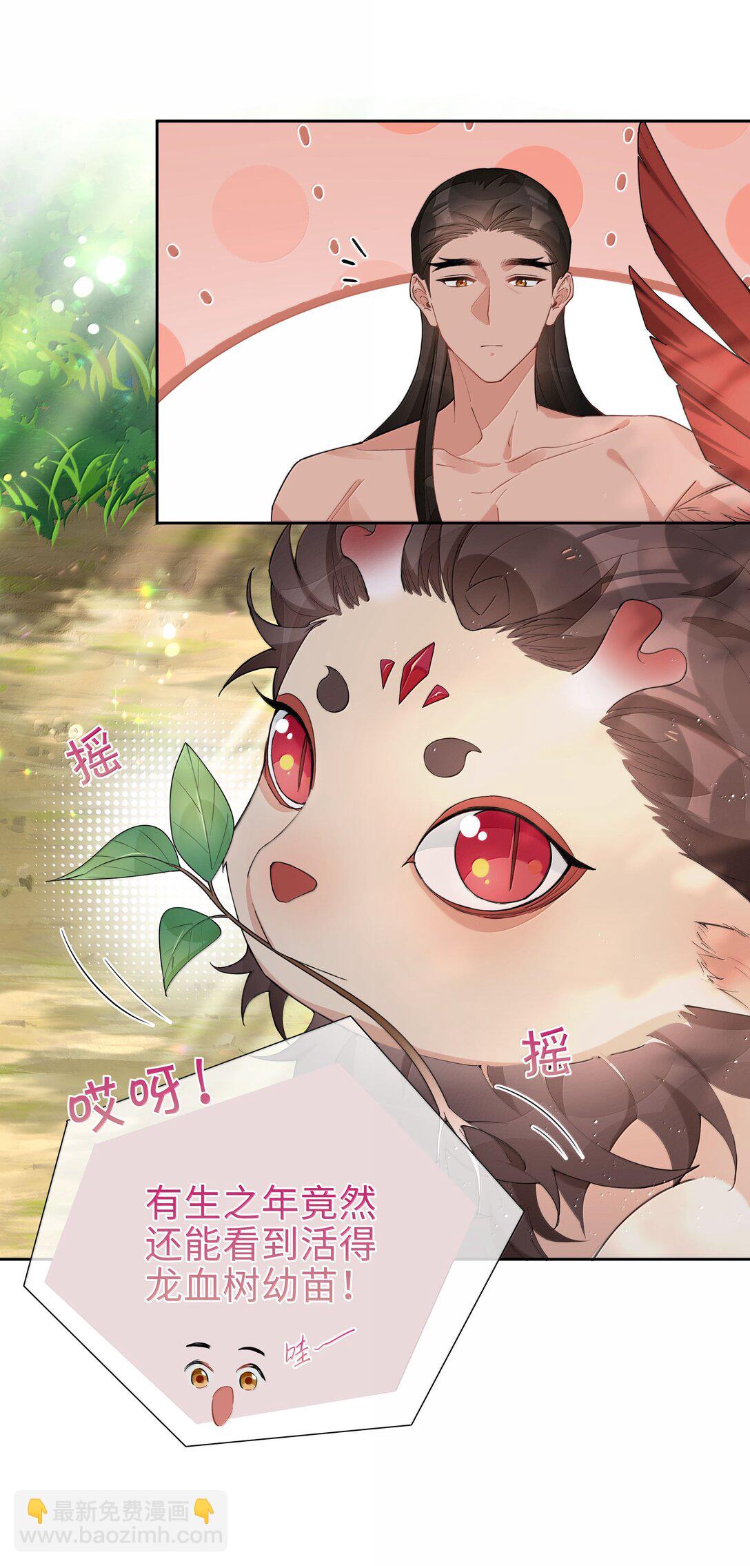 第112话 以后你就是麒麟的龙血树了-第112话