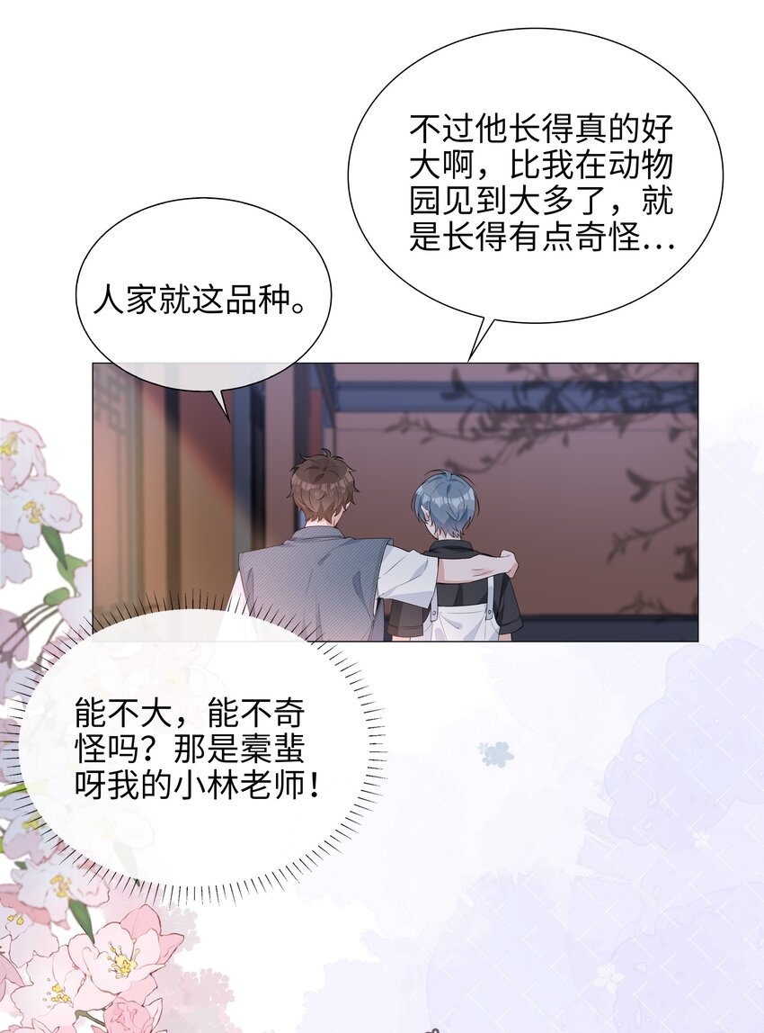 024 爱情的秘密-第24话