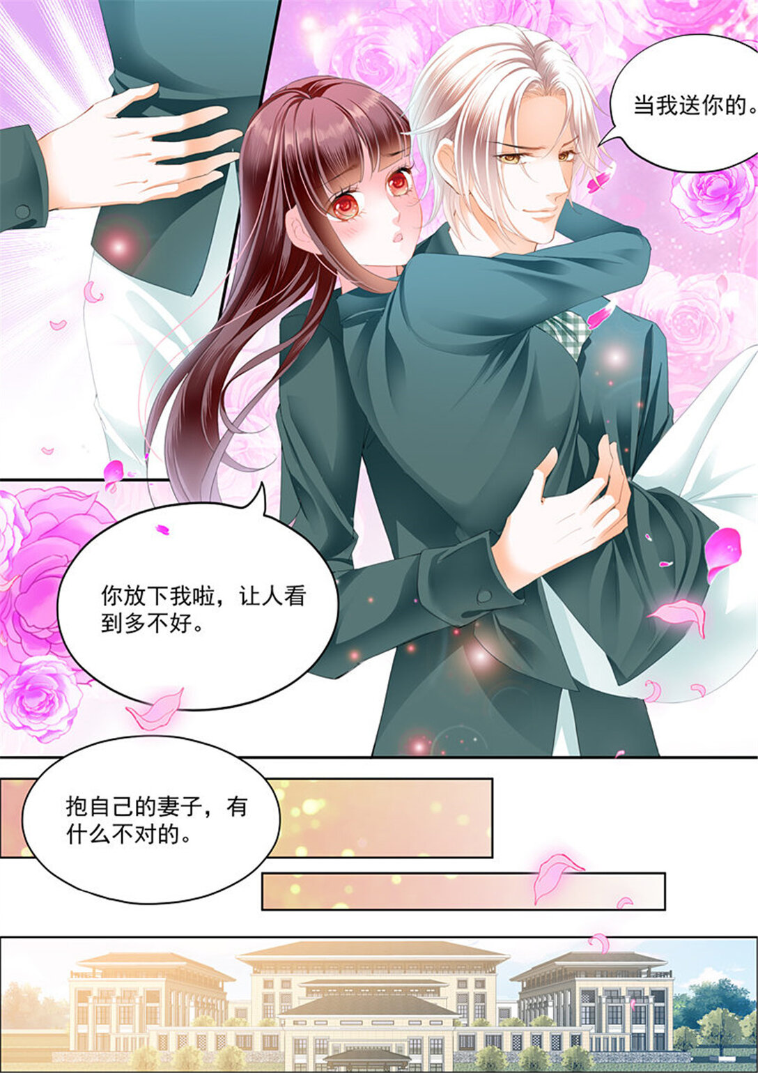 閃婚嬌妻 - 178 我只相信我的女人 - 3