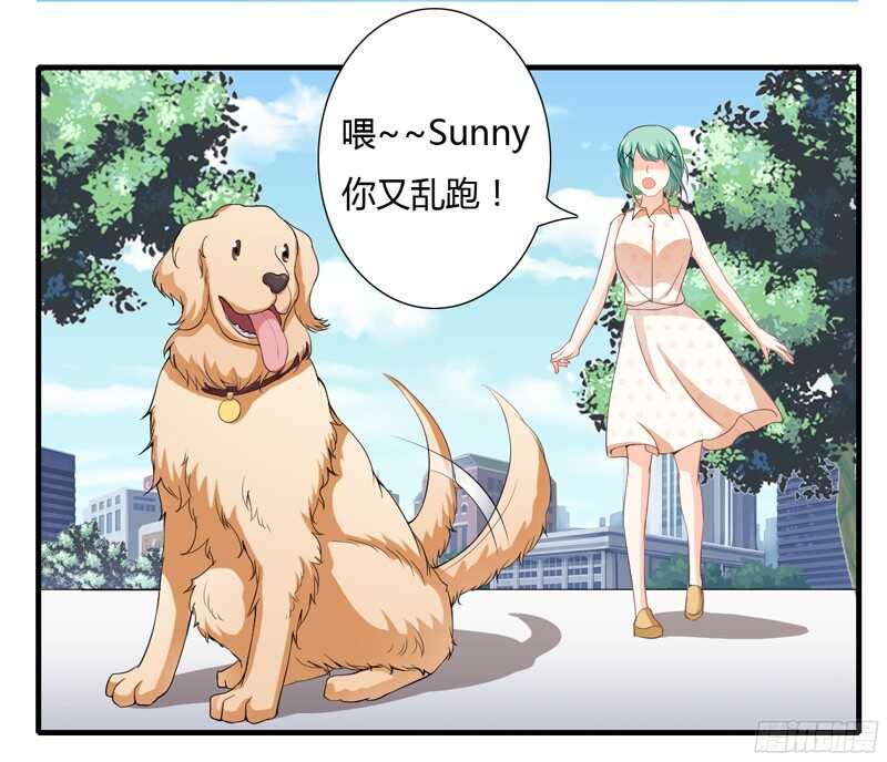 第43话 斜阳初遇木槿-第42话