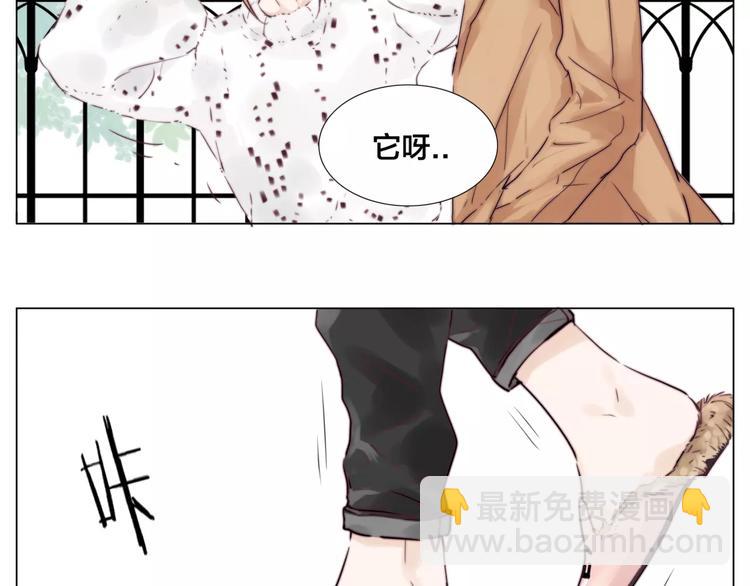 第25话 幸运的事(1/2)-第26话