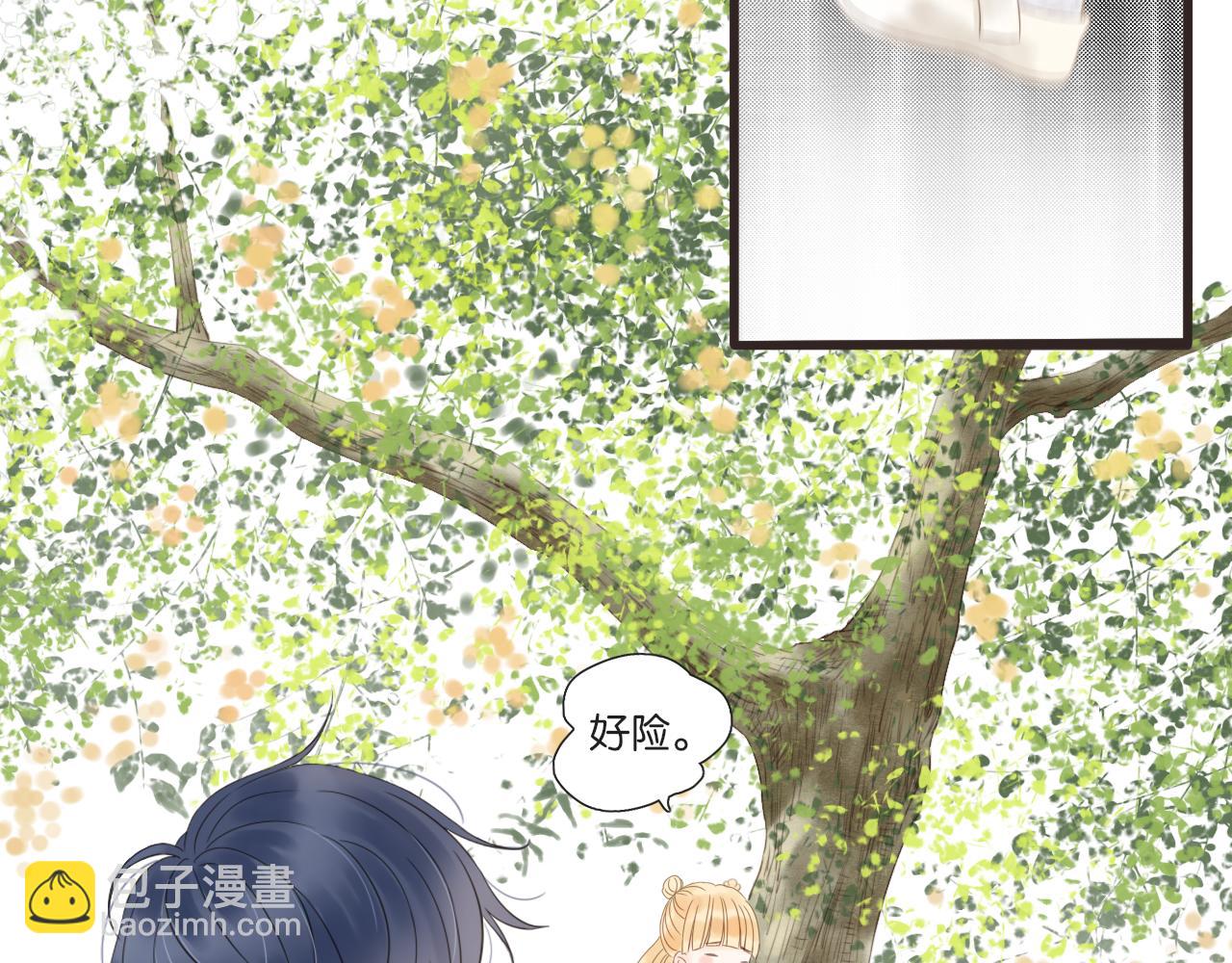 第11话 龙眼树下的女孩(1/2)-第12话