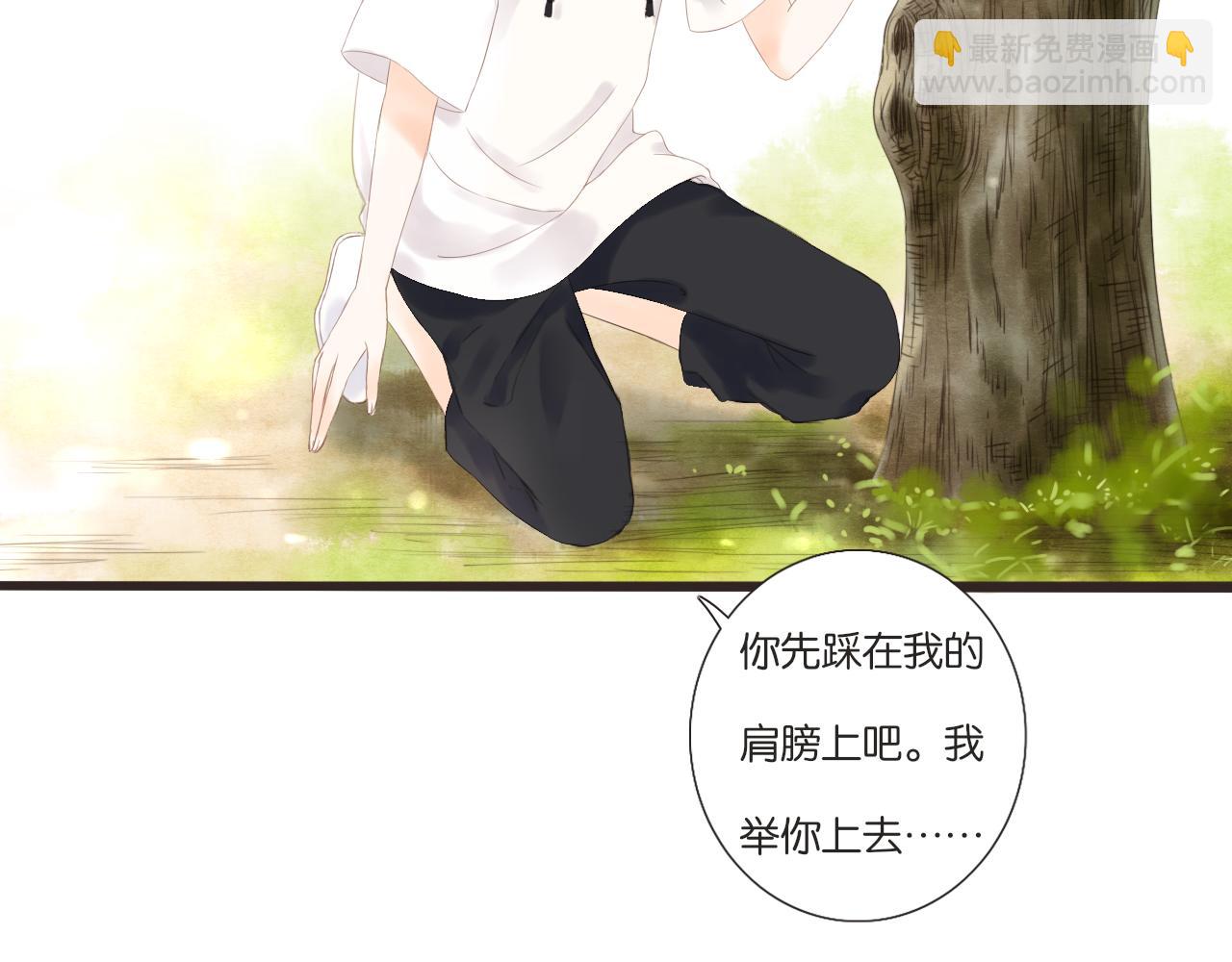 第11话 龙眼树下的女孩(1/2)-第12话