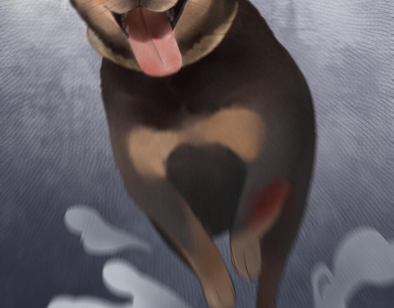 第4话 四目(1/2)-第4话