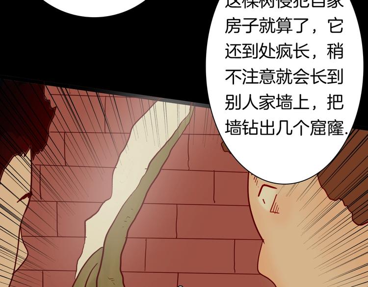 山林怪談 - 第120話 盆景藝術家（上）(3/3) - 6