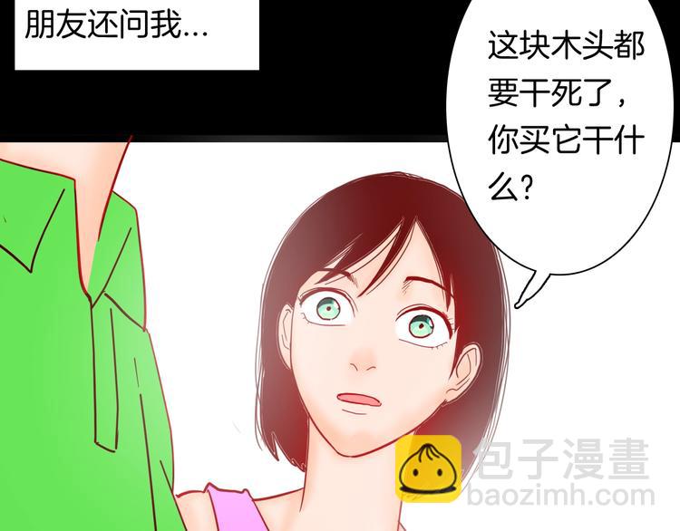 山林怪談 - 第122話 盆景藝術家（下）(1/4) - 4