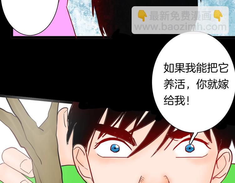 山林怪談 - 第122話 盆景藝術家（下）(1/4) - 7