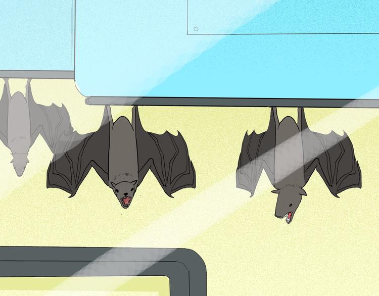 山林怪談 - 第124話 拯救(3/4) - 8