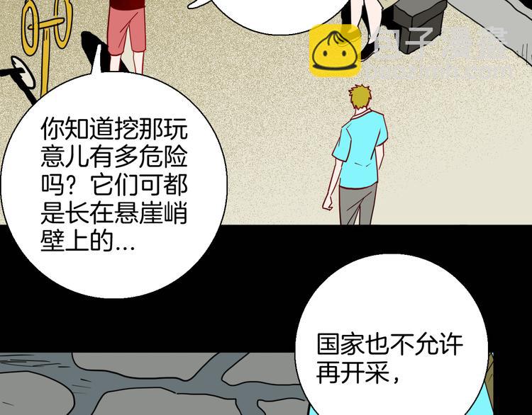 山林怪談 - 第146話 崖柏（上）(1/3) - 2