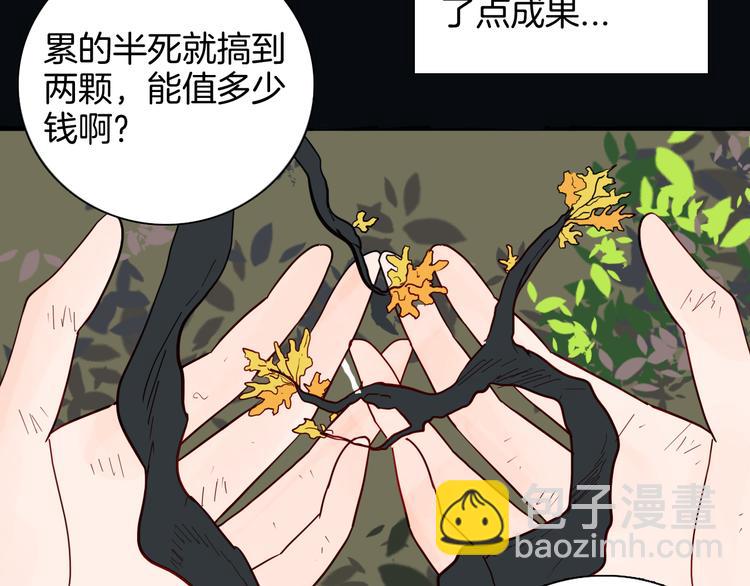 山林怪談 - 第146話 崖柏（上）(1/3) - 4