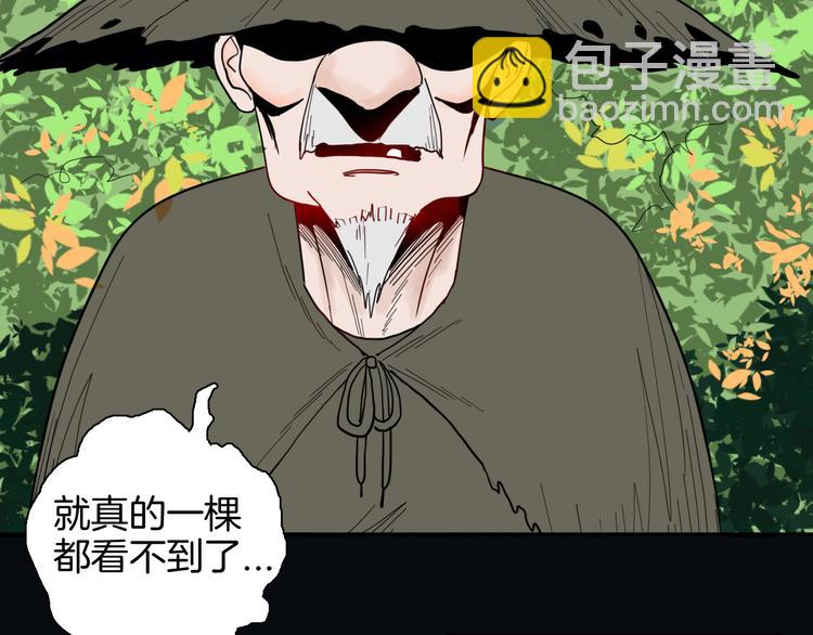 山林怪談 - 第146話 崖柏（上）(1/3) - 4