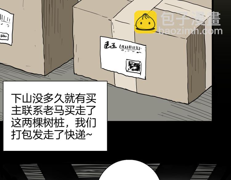 山林怪談 - 第146話 崖柏（上）(1/3) - 2