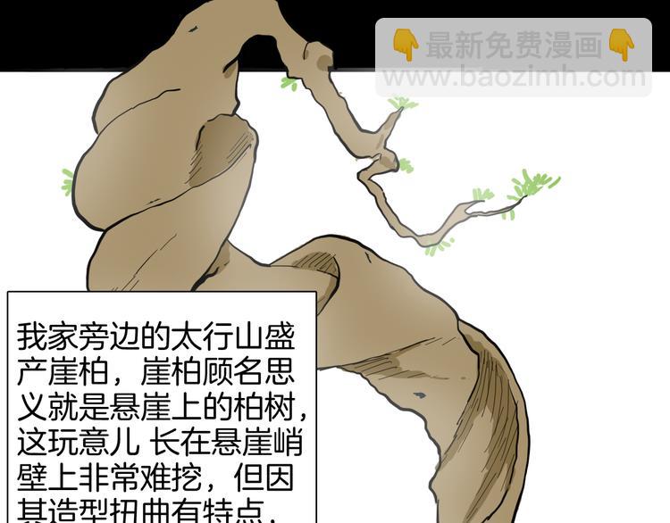 山林怪談 - 第146話 崖柏（上）(1/3) - 8