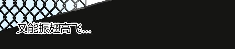 山林怪談 - 第148話 困獸與自由(4/4) - 4