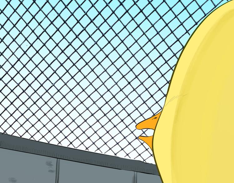 山林怪談 - 第170話 平凡鴨(1/3) - 6