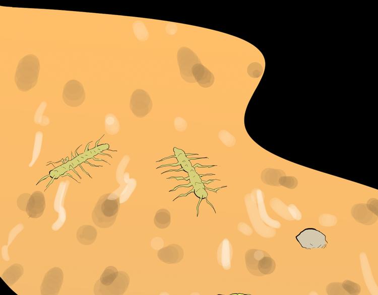 山林怪談 - 第179話 最好的房東（上）(3/3) - 1