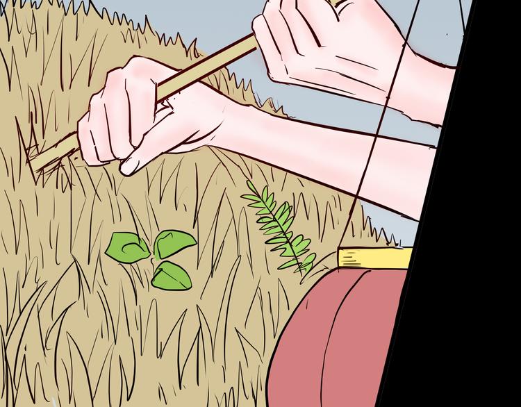 山林怪談 - 第72話 燈籠（下）(2/4) - 2