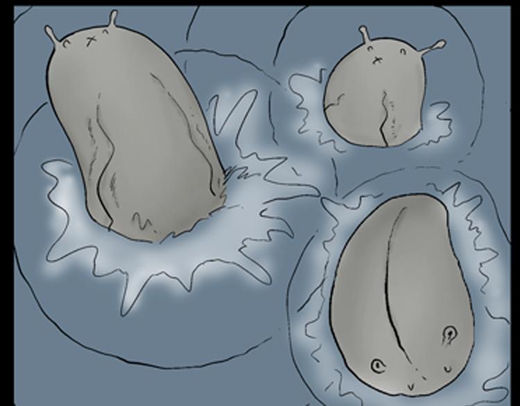 山林怪談 - 第90話 蛞蝓（上）(2/3) - 1